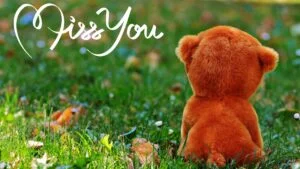 Grief Share Resources